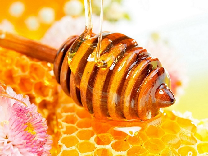 Разведение пчел как бизнес: бизнес-план по разведению пчел
